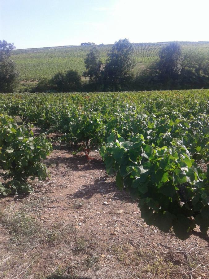 La Maison Des Vignes Charentay Buitenkant foto